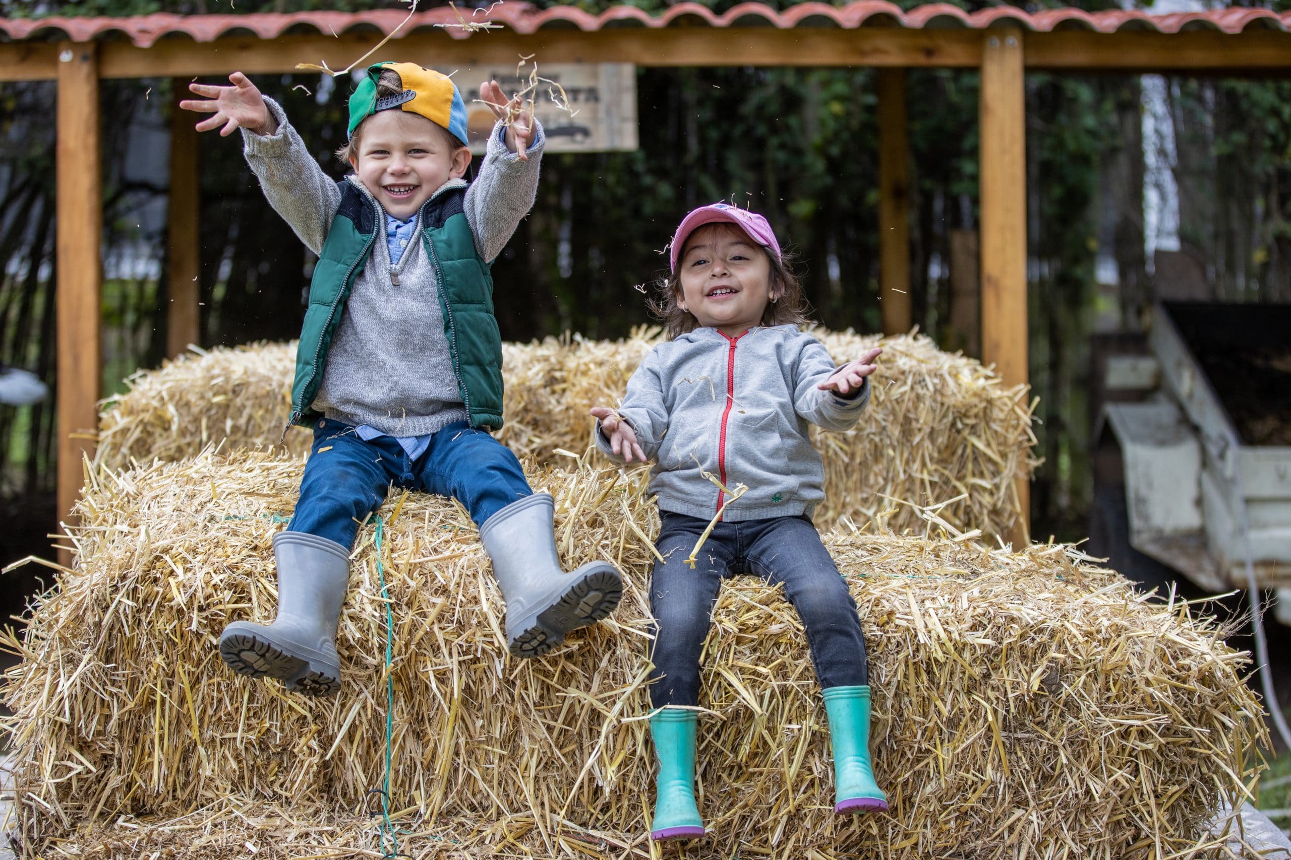 HOSTERIA-PAPAGAYO-94-scaled-min